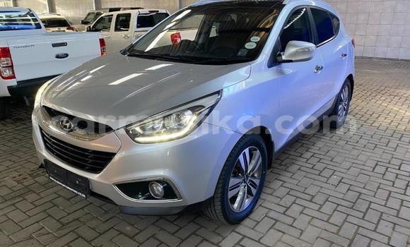 Acheter Occasion Voiture Hyundai ix35 Gris à Beitbridge, Matabeleland South