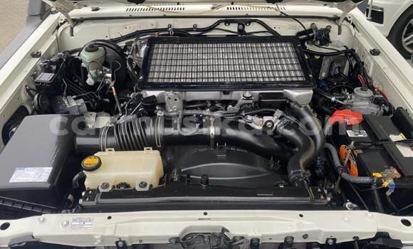 Tenga Tsaru Toyota Land Cruiser Chena Mota in Beitbridge in Matabeleland South Tenga Tsaru Toyota Land Cruiser Chena Mota in Beitbridge in Matabeleland South