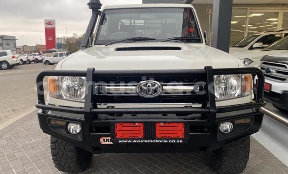 Tenga Tsaru Toyota Land Cruiser Chena Mota in Beitbridge in Matabeleland South Tenga Tsaru Toyota Land Cruiser Chena Mota in Beitbridge in Matabeleland South