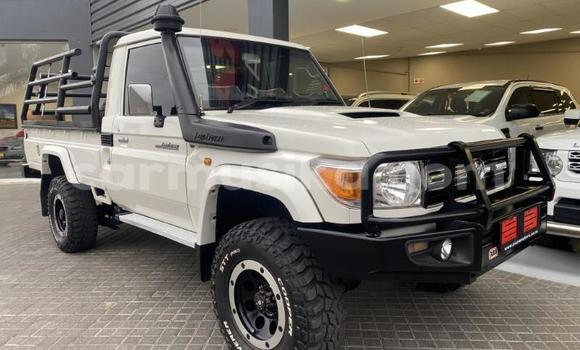 Tenga Tsaru Toyota Land Cruiser Chena Mota in Beitbridge in Matabeleland South Tenga Tsaru Toyota Land Cruiser Chena Mota in Beitbridge in Matabeleland South