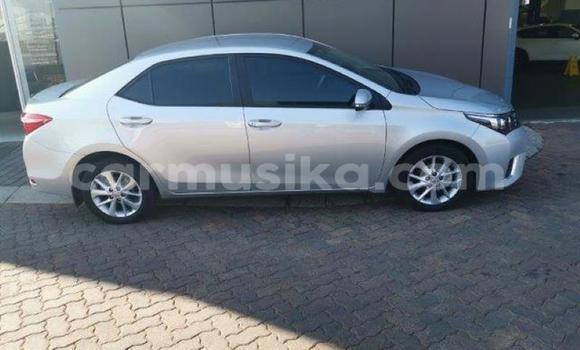 Acheter Occasion Voiture Toyota Corolla Gris à Beitbridge, Matabeleland South Acheter Occasion Voiture Toyota Corolla Gris à Beitbridge, Matabeleland South