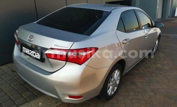 Acheter Occasion Voiture Toyota Corolla Gris à Beitbridge, Matabeleland South Acheter Occasion Voiture Toyota Corolla Gris à Beitbridge, Matabeleland South