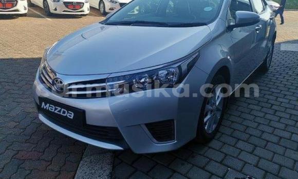 Acheter Occasion Voiture Toyota Corolla Gris à Beitbridge, Matabeleland South Acheter Occasion Voiture Toyota Corolla Gris à Beitbridge, Matabeleland South