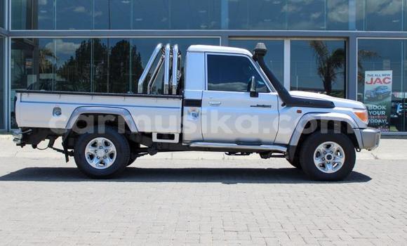 Acheter Occasion Voiture Toyota Land Cruiser Gris à Beitbridge, Matabeleland South