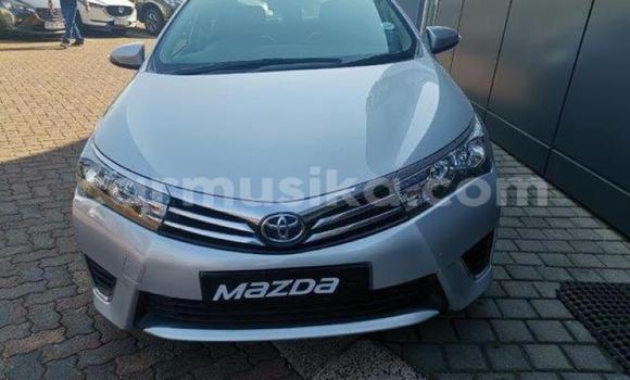 Acheter Occasion Voiture Toyota Corolla Gris à Beitbridge, Matabeleland South Acheter Occasion Voiture Toyota Corolla Gris à Beitbridge, Matabeleland South