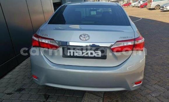 Acheter Occasion Voiture Toyota Corolla Gris à Beitbridge, Matabeleland South Acheter Occasion Voiture Toyota Corolla Gris à Beitbridge, Matabeleland South