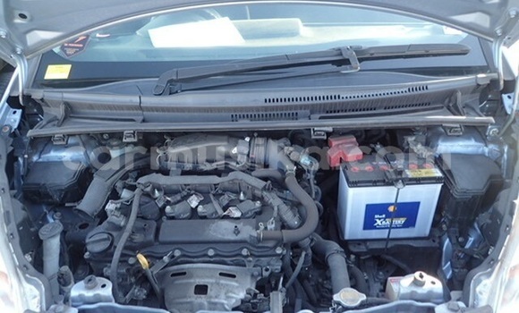 Tenga Tsaru Toyota Ractis Bhuruu Mota in Beitbridge in Matabeleland South Tenga Tsaru Toyota Ractis Bhuruu Mota in Beitbridge in Matabeleland South