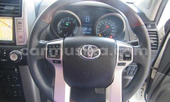 Acheter Occasion Voiture Toyota Land Cruiser Prado Blanc à Beitbridge, Matabeleland South Acheter Occasion Voiture Toyota Land Cruiser Prado Blanc à Beitbridge, Matabeleland South