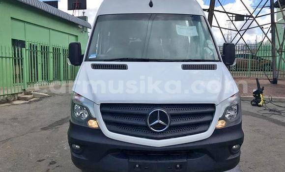 Tenga Tsaru Mercedes‒Benz Esprit Chena Mota in Beitbridge in Matabeleland South Tenga Tsaru Mercedes‒Benz Esprit Chena Mota in Beitbridge in Matabeleland South