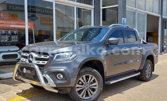 Tenga Tsaru Mercedes‒Benz X-klasse Concept Bhuruu Mota in Beitbridge in Matabeleland South