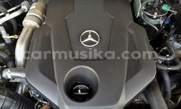 Tenga Tsaru Mercedes‒Benz X-klasse Concept Bhuruu Mota in Beitbridge in Matabeleland South Tenga Tsaru Mercedes‒Benz X-klasse Concept Bhuruu Mota in Beitbridge in Matabeleland South