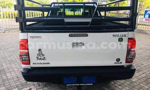 Acheter Occasion Voiture Toyota Hilux Blanc à Beitbridge, Matabeleland South Acheter Occasion Voiture Toyota Hilux Blanc à Beitbridge, Matabeleland South