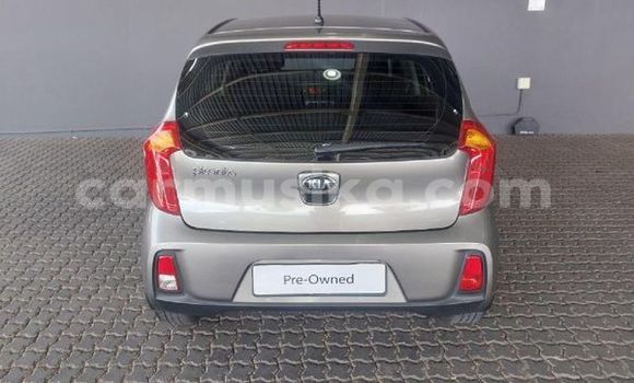 Acheter Occasion Voiture Kia Picanto Autre à Beitbridge, Matabeleland South Acheter Occasion Voiture Kia Picanto Autre à Beitbridge, Matabeleland South