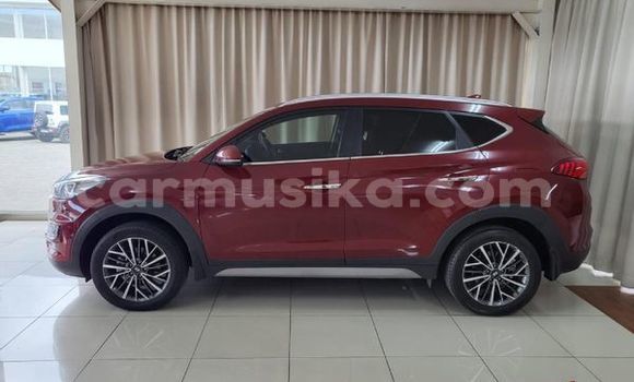 Tenga Tsaru Hyundai Tucson Zvimwe Mota in Beitbridge in Matabeleland South