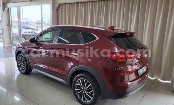 Acheter Occasion Voiture Hyundai Tucson Autre à Beitbridge, Matabeleland South Acheter Occasion Voiture Hyundai Tucson Autre à Beitbridge, Matabeleland South