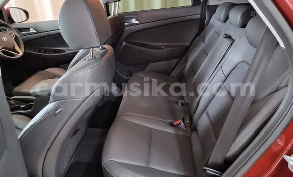 Acheter Occasion Voiture Hyundai Tucson Autre à Beitbridge, Matabeleland South Acheter Occasion Voiture Hyundai Tucson Autre à Beitbridge, Matabeleland South