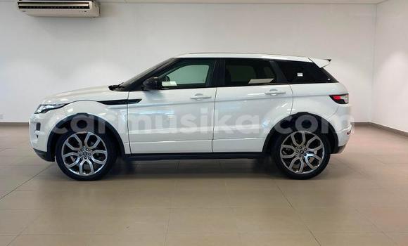Acheter Occasion Voiture Land Rover Range Rover Evoque Blanc à Beitbridge, Matabeleland South Acheter Occasion Voiture Land Rover Range Rover Evoque Blanc à Beitbridge, Matabeleland South