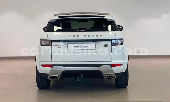 Acheter Occasion Voiture Land Rover Range Rover Evoque Blanc à Beitbridge, Matabeleland South Acheter Occasion Voiture Land Rover Range Rover Evoque Blanc à Beitbridge, Matabeleland South