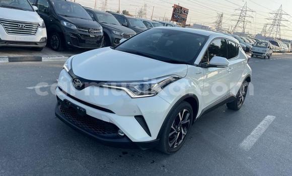 Tenga Imported Toyota C-HR Chena Mota in Beitbridge in Matabeleland South