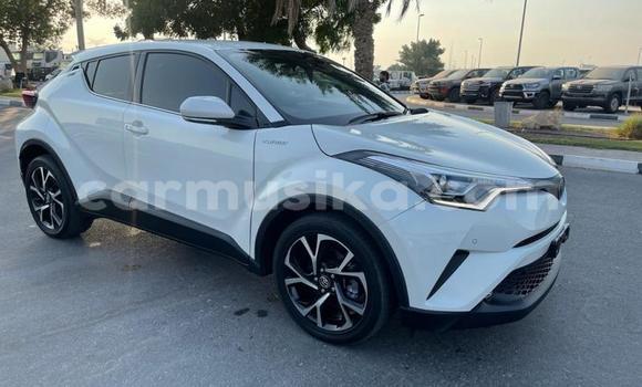 Acheter Import Voiture Toyota C-HR Blanc à Beitbridge, Matabeleland South Acheter Import Voiture Toyota C-HR Blanc à Beitbridge, Matabeleland South