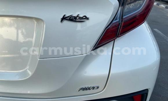 Acheter Import Voiture Toyota C-HR Blanc à Beitbridge, Matabeleland South Acheter Import Voiture Toyota C-HR Blanc à Beitbridge, Matabeleland South
