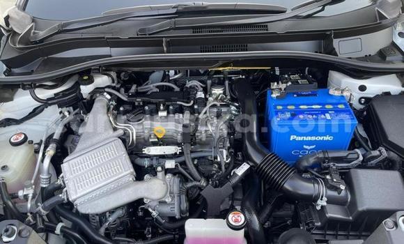 Acheter Import Voiture Toyota C-HR Blanc à Beitbridge, Matabeleland South Acheter Import Voiture Toyota C-HR Blanc à Beitbridge, Matabeleland South