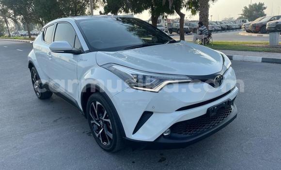 Acheter Import Voiture Toyota C-HR Blanc à Beitbridge, Matabeleland South Acheter Import Voiture Toyota C-HR Blanc à Beitbridge, Matabeleland South