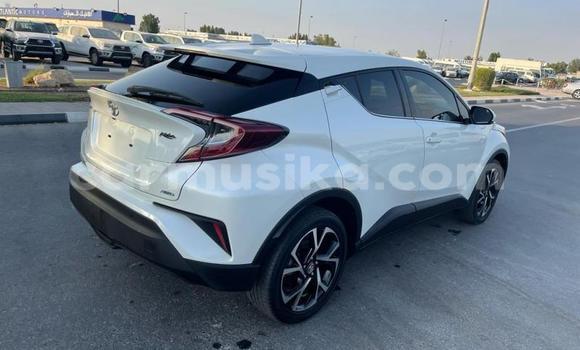 Acheter Import Voiture Toyota C-HR Blanc à Beitbridge, Matabeleland South Acheter Import Voiture Toyota C-HR Blanc à Beitbridge, Matabeleland South