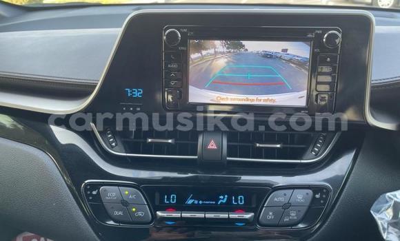 Acheter Import Voiture Toyota C-HR Blanc à Beitbridge, Matabeleland South Acheter Import Voiture Toyota C-HR Blanc à Beitbridge, Matabeleland South