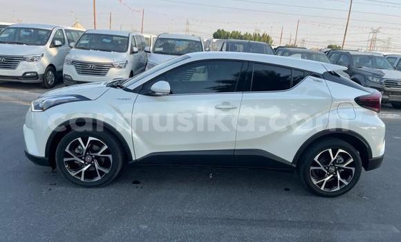 Acheter Import Voiture Toyota C-HR Blanc à Beitbridge, Matabeleland South Acheter Import Voiture Toyota C-HR Blanc à Beitbridge, Matabeleland South