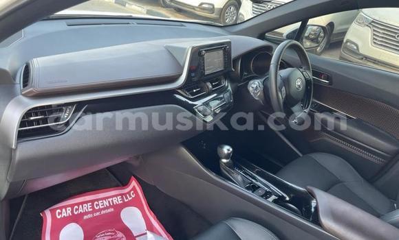 Acheter Import Voiture Toyota C-HR Blanc à Beitbridge, Matabeleland South Acheter Import Voiture Toyota C-HR Blanc à Beitbridge, Matabeleland South