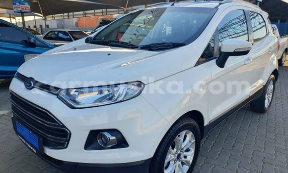 Tenga Tsaru Ford EcoSport Chena Mota in Beitbridge in Matabeleland South
