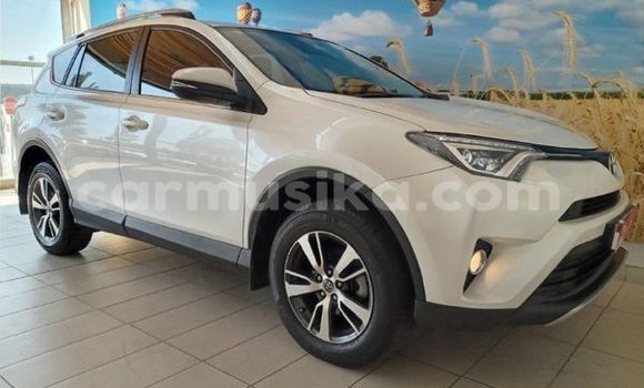 Tenga Tsaru Toyota RAV4 Chena Mota in Beitbridge in Matabeleland South