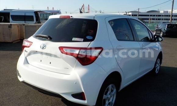 Buy Used Toyota Vitz White Car in Beitbridge in Matabeleland South Buy Used Toyota Vitz White Car in Beitbridge in Matabeleland South