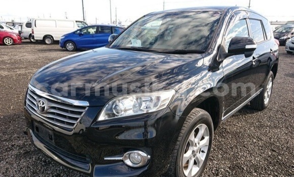 Buy Used Toyota Vanguard Black Car in Beitbridge in Matabeleland South