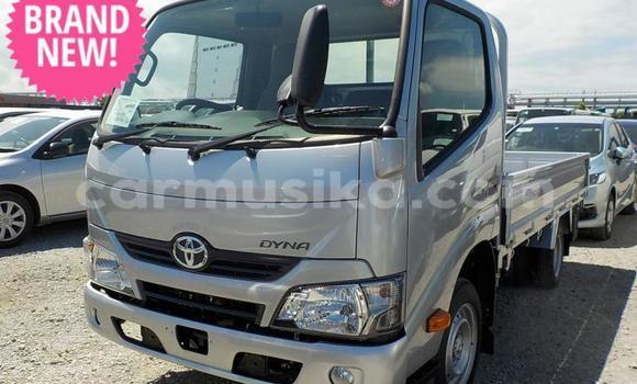 Buy Used Toyota Dyna Other Truck in Beitbridge in Matabeleland South