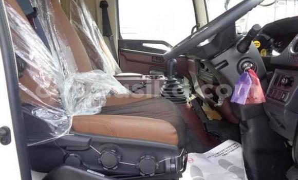 Acheter Import Utilitaire Hino Ranger Blanc à Beitbridge, Matabeleland South Acheter Import Utilitaire Hino Ranger Blanc à Beitbridge, Matabeleland South