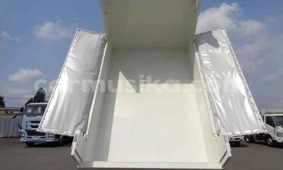 Acheter Import Utilitaire Hino Ranger Blanc à Beitbridge, Matabeleland South Acheter Import Utilitaire Hino Ranger Blanc à Beitbridge, Matabeleland South