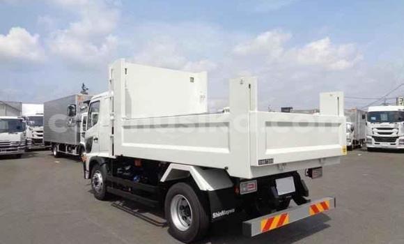 Acheter Import Utilitaire Hino Ranger Blanc à Beitbridge, Matabeleland South Acheter Import Utilitaire Hino Ranger Blanc à Beitbridge, Matabeleland South
