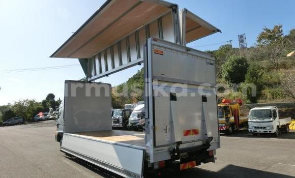 Acheter Import Utilitaire Hino Ranger Blanc à Beitbridge, Matabeleland South Acheter Import Utilitaire Hino Ranger Blanc à Beitbridge, Matabeleland South