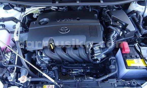 Tenga Imported Toyota Premio Chena Mota in Beitbridge in Matabeleland South Tenga Imported Toyota Premio Chena Mota in Beitbridge in Matabeleland South