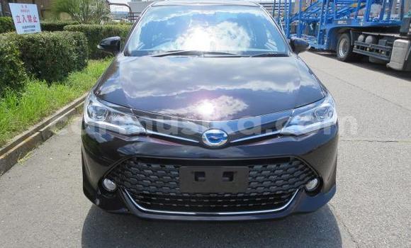 Acheter Import Voiture Toyota Axio Autre à Beitbridge, Matabeleland South Acheter Import Voiture Toyota Axio Autre à Beitbridge, Matabeleland South