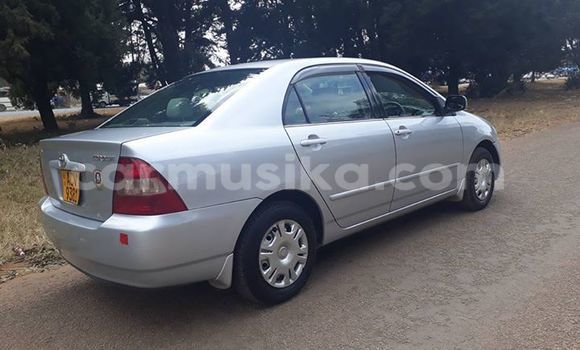 Tenga Tsaru Toyota Corolla Sirivha Mota in Alexandra Park in Harare Tenga Tsaru Toyota Corolla Sirivha Mota in Alexandra Park in Harare