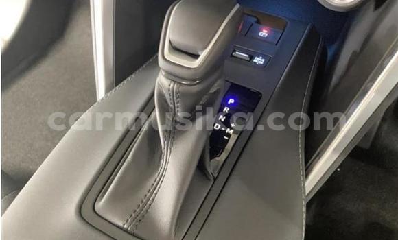 Acheter Import Voiture Toyota Harrier Blanc à Beitbridge, Matabeleland South Acheter Import Voiture Toyota Harrier Blanc à Beitbridge, Matabeleland South