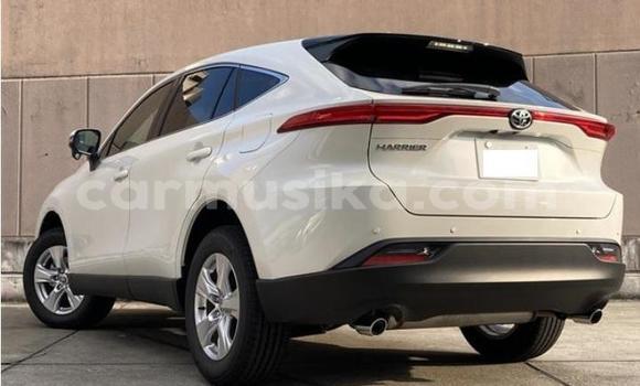 Acheter Import Voiture Toyota Harrier Blanc à Beitbridge, Matabeleland South Acheter Import Voiture Toyota Harrier Blanc à Beitbridge, Matabeleland South