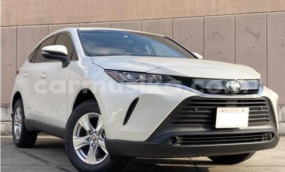 Acheter Import Voiture Toyota Harrier Blanc à Beitbridge, Matabeleland South Acheter Import Voiture Toyota Harrier Blanc à Beitbridge, Matabeleland South