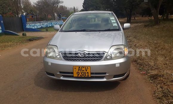 Tenga Tsaru Toyota Corolla Sirivha Mota in Alexandra Park in Harare Tenga Tsaru Toyota Corolla Sirivha Mota in Alexandra Park in Harare