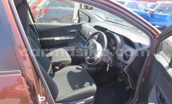 Acheter Import Voiture Toyota Vitz Autre à Beitbridge, Matabeleland South Acheter Import Voiture Toyota Vitz Autre à Beitbridge, Matabeleland South