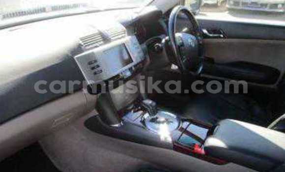 Tenga Tsaru Toyota Mark X Nhema Mota in Beitbridge in Matabeleland South Tenga Tsaru Toyota Mark X Nhema Mota in Beitbridge in Matabeleland South