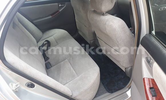 Tenga Tsaru Toyota Corolla Sirivha Mota in Alexandra Park in Harare Tenga Tsaru Toyota Corolla Sirivha Mota in Alexandra Park in Harare